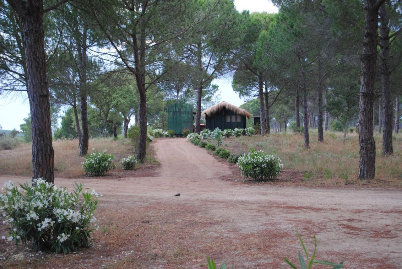 Vila Ying Yang Monte Da Lua Comporta Exteriér fotografie
