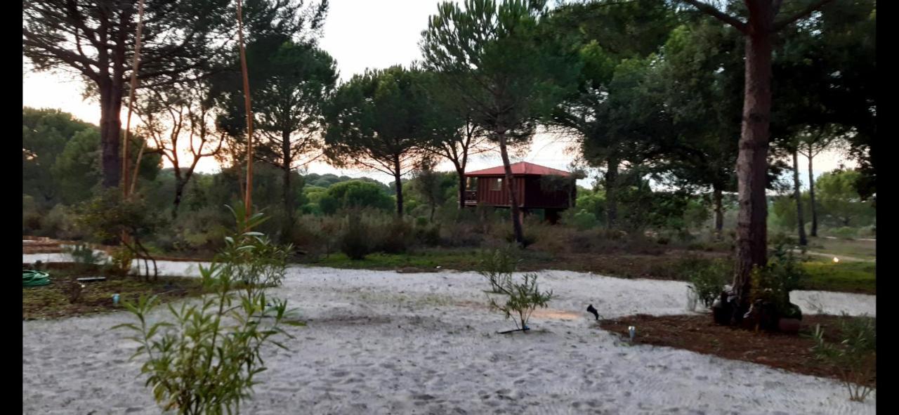Vila Ying Yang Monte Da Lua Comporta Exteriér fotografie