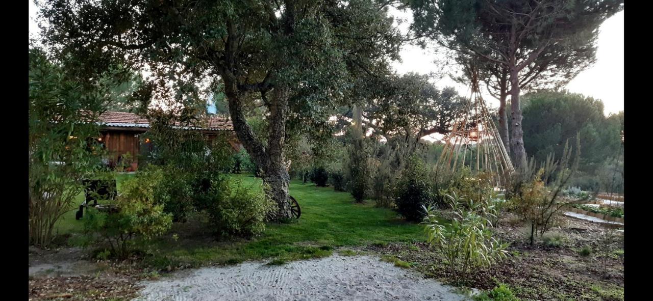 Vila Ying Yang Monte Da Lua Comporta Exteriér fotografie