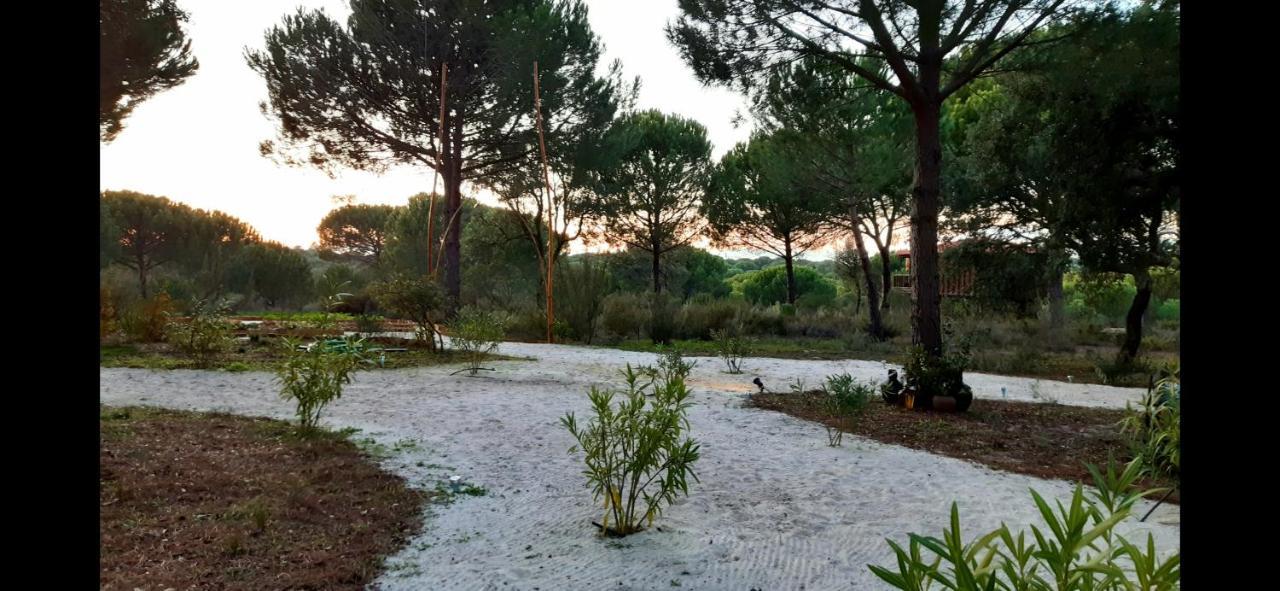 Vila Ying Yang Monte Da Lua Comporta Exteriér fotografie