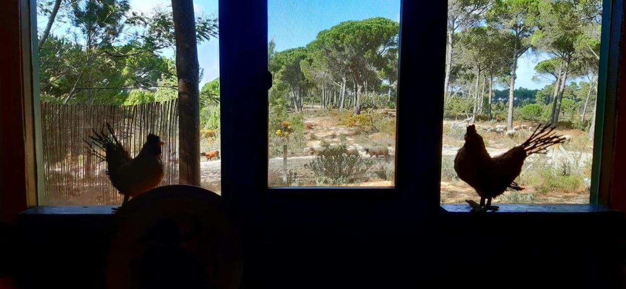 Vila Ying Yang Monte Da Lua Comporta Exteriér fotografie